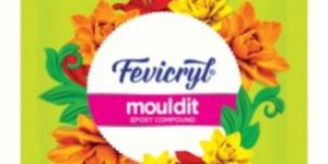 Fevicryl Clay Mouldit 90g