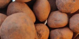 Sponge Iron Ore Pellets