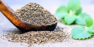 Carom Seed