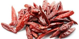 Red Chilli
