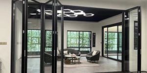 Frameless Glass Door Partition