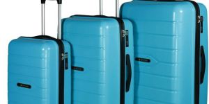 Luggage Trolley Bag