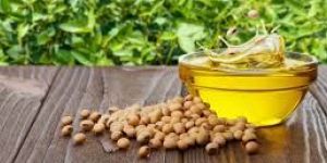 Soyabean Oil