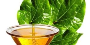 Betel Leaf Oil