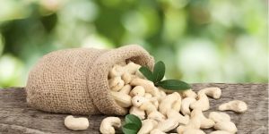 Cashew Nuts