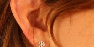 Crystal Floral Spectacle 925 Silver Stud Earrings