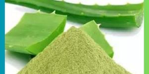 Aloe Vera Leaves Powder