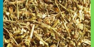 Ashwagandha Panchang