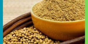 Dried Coriander Powder