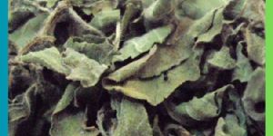Dry Tulsi Leaves