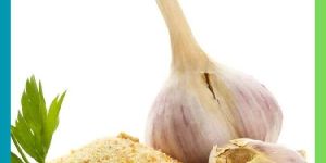 Garlic Flakes Powder