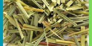 Lemon Grass