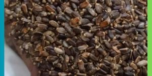 Milk Thistle Seed