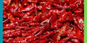 Red Chili