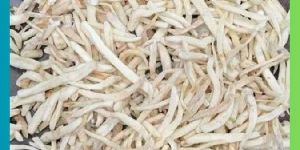 WHITE MUSLI ROOT