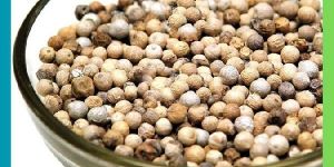 White Pepper Whole White Peppercorns
