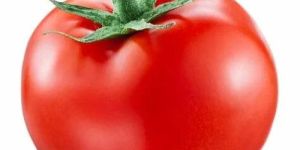 Natural Fresh Tomato