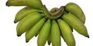 Fresh Green Elaichi Banana