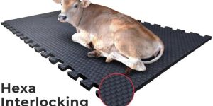 Cow Mats