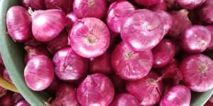 B Grade Red Onion