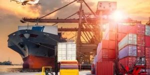 Domestic Logistic Service