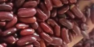 Red Kidney Bean