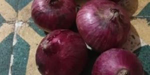 Onions