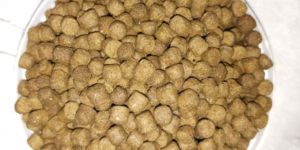 Fish Pellet Food