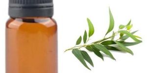 Eucalyptus Hydrosol Liquid