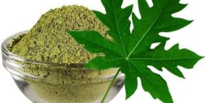 Green Papaya Leaves Powder