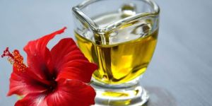 Hibiscus Hydrosol Liquid