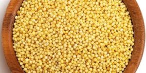 Foxtail Millet Whole Grain Unpolished & Organic