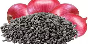 Onion Seeds