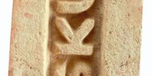 Sku Rectangular Construction Bricks