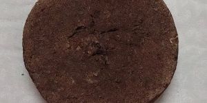 8 Inch Cow Dung Cake