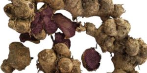 Organic Black Ginger
