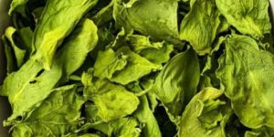 Dehydrated Spinach Flakes