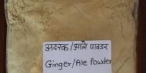 Dehydrated Amla Powder