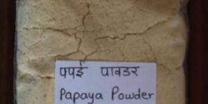 Dehydrated Papaya Powder