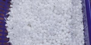 Cotton Wicks