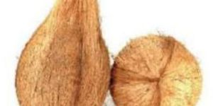 Semi Husked Coconut