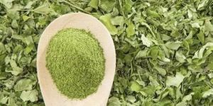 Dehydrated Moringa Leaves Powder