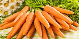 Fresh Kuroda Orange Carrot