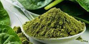 Spinach Powder
