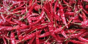 Teja Dry Red Chilli