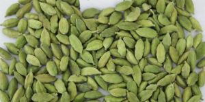 Green Cardamom