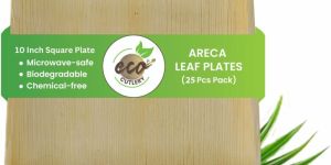 Areca Palm Leaf Square Plates (10-inch Square Plate - Pack of 25)