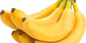 Fresh Robusta Banana