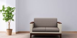 2 Seater Wooden Sofa Set