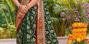 Karnika Soft Silk Saree